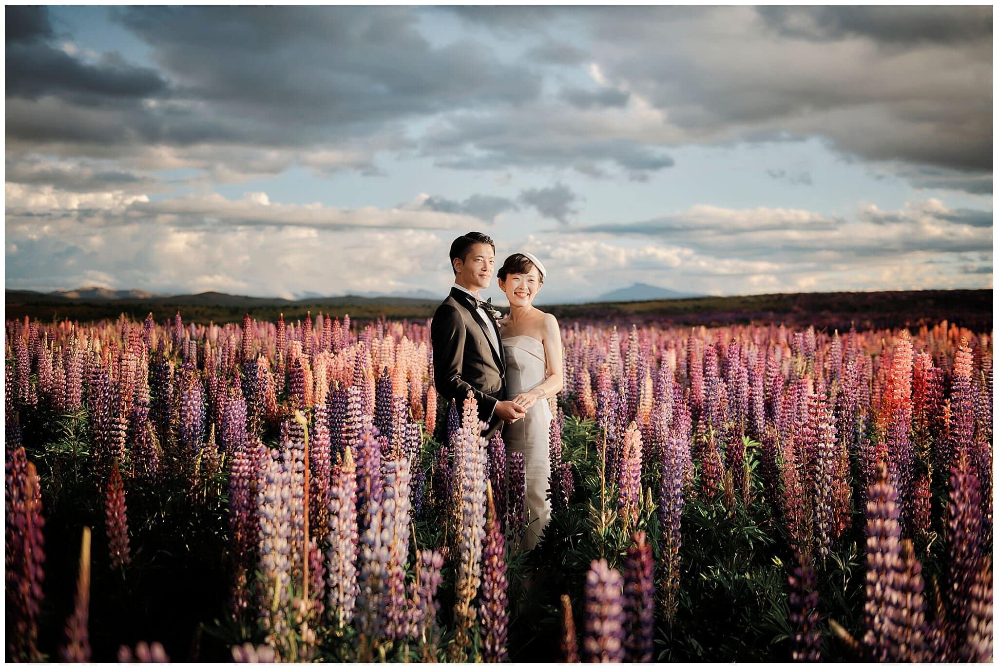 new zealand wedding photo lupins lavender tekapo queenstown
