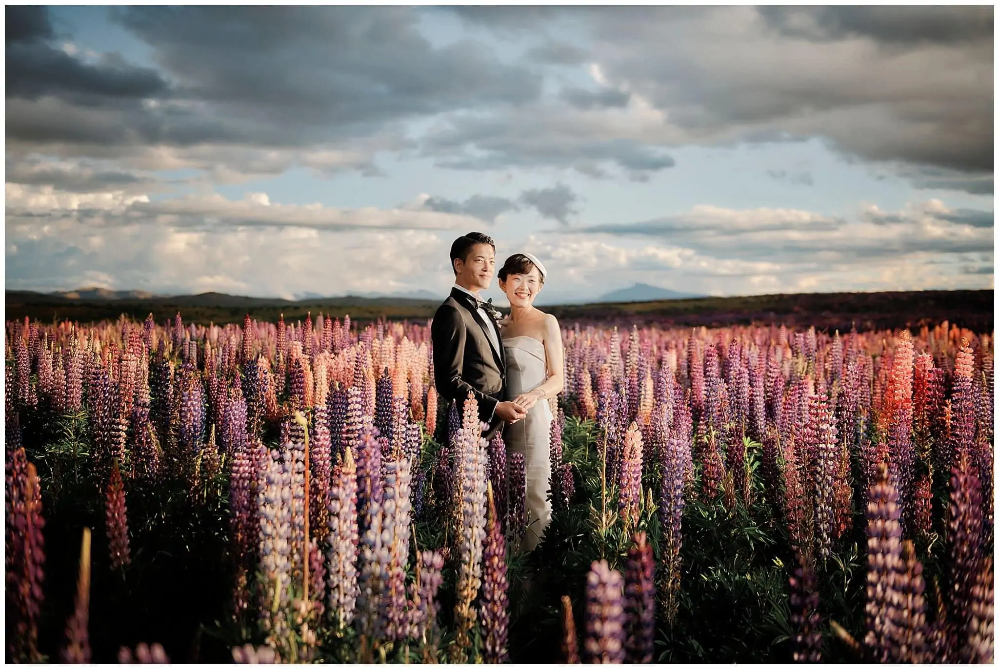 new zealand wedding photo lupins lavender tekapo queenstown