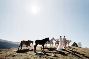 queenstown deer park heights elopement wedding photographer new zealand package