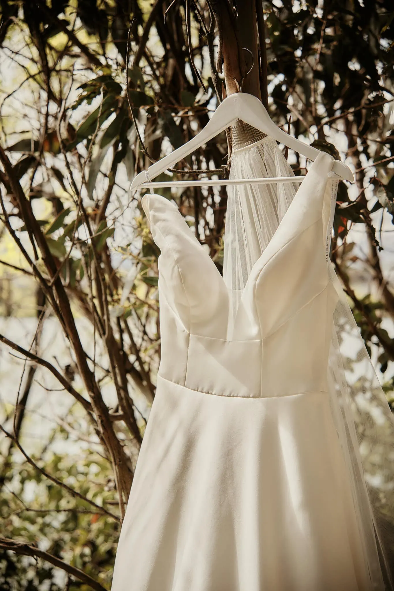 A white wedding dress hanging from a tree at Michelle and Vedran's elopement wedding in Rees Valley Station.