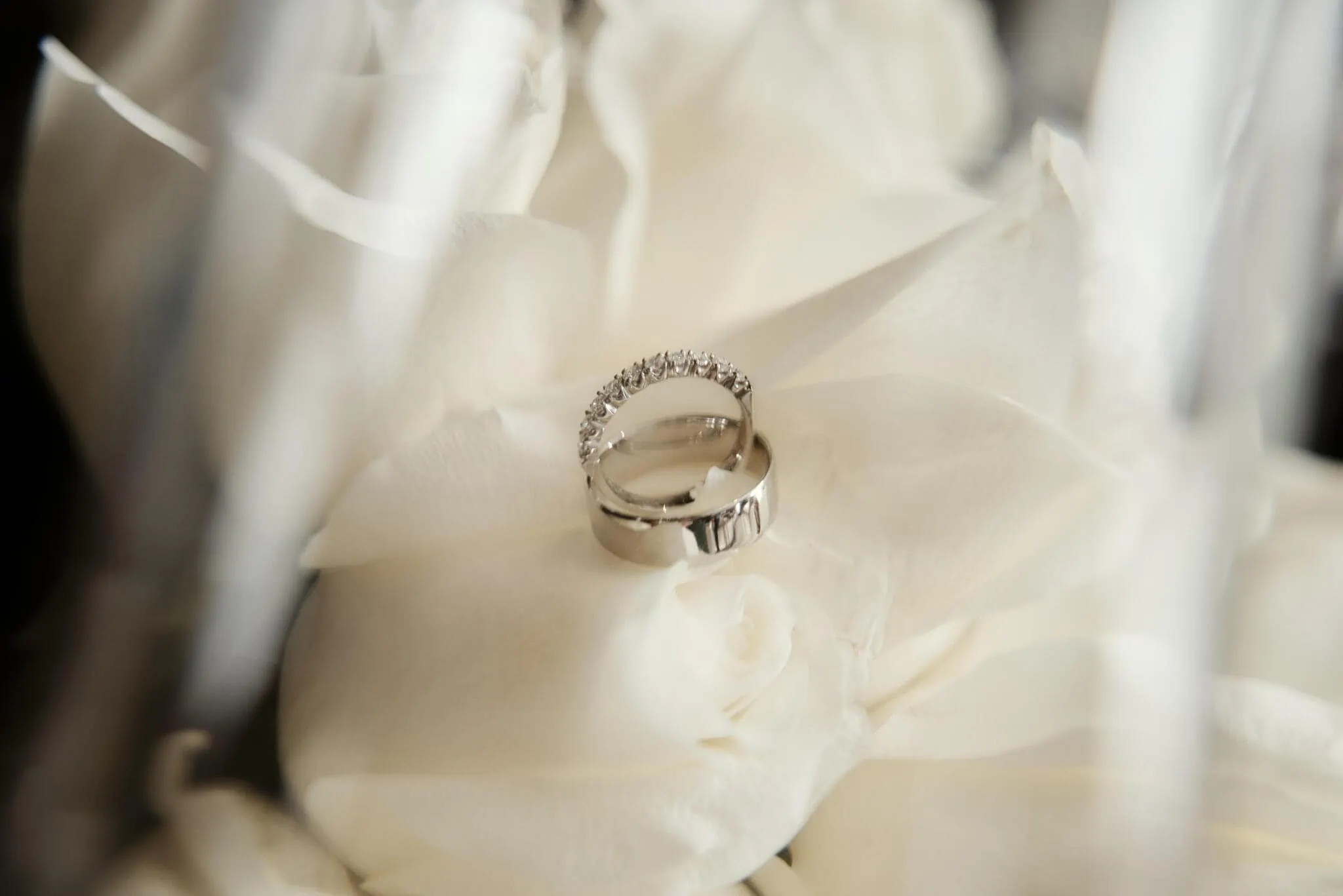 Queenstown New Zealand Elopement Wedding Photographer - Sarah and Tim's wedding bands rest delicately amidst a bed of pristine white roses during their Scenic Queenstown Heli Elopement Wedding.
