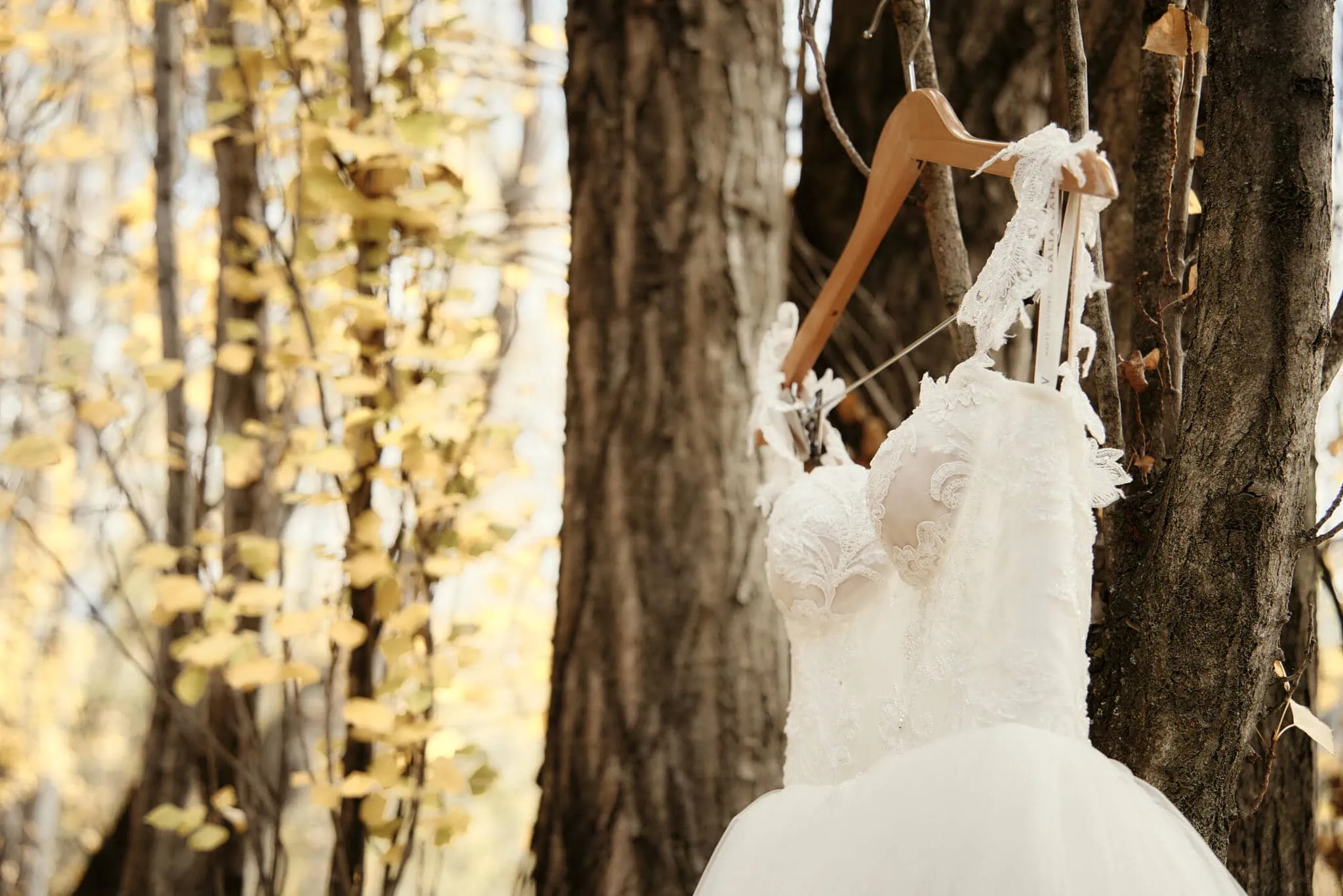 Queenstown New Zealand Elopement Wedding Photographer - Sarah and Tim elope in a scenic Queenstown heli wedding, with a wedding dress hanging from a tree in the woods.