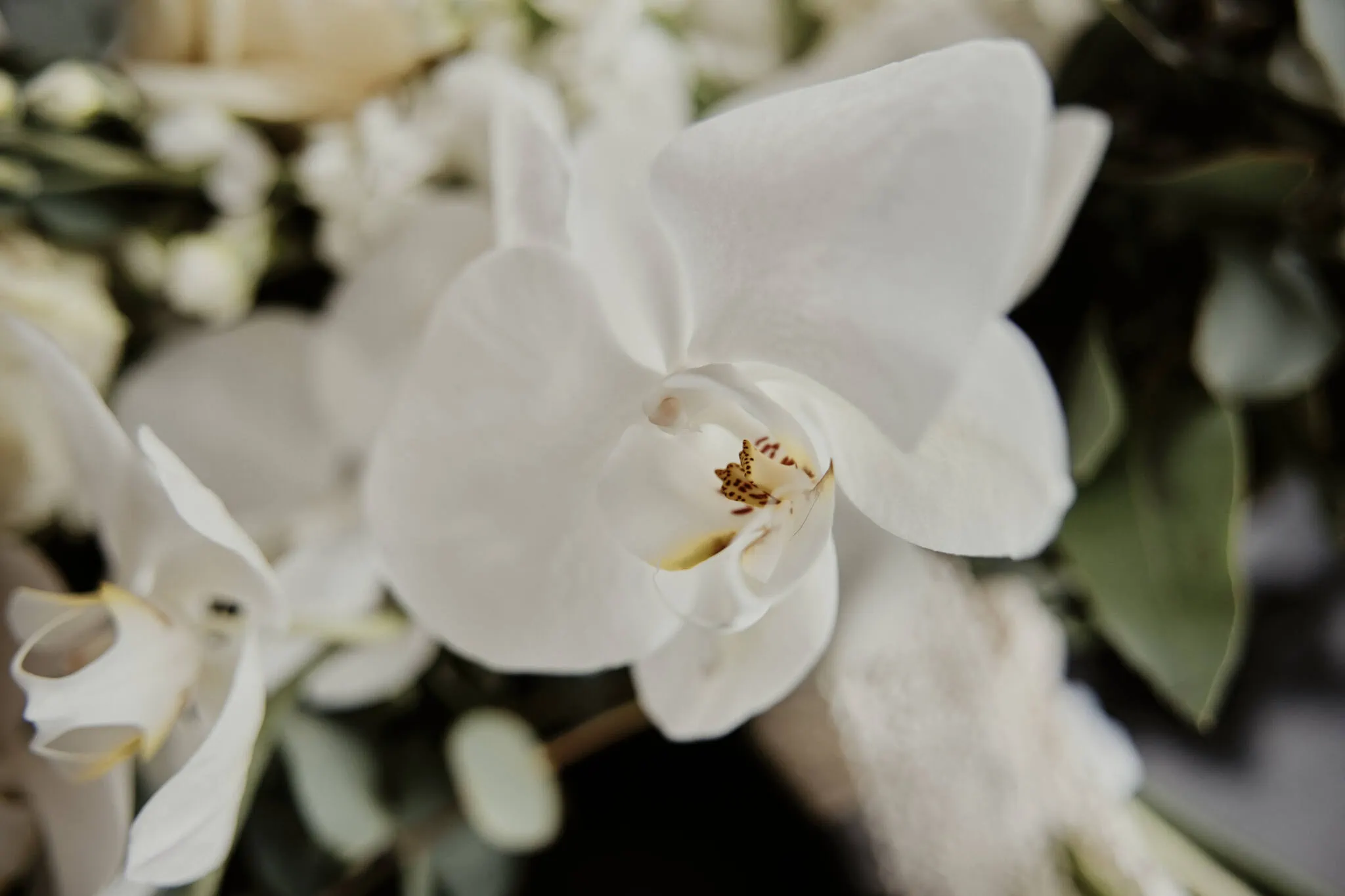 Queenstown New Zealand Elopement Wedding Photographer - Rebecca and Dylan's enchanting Moke Lake elopement wedding captured in a close up of a bouquet of white orchids.