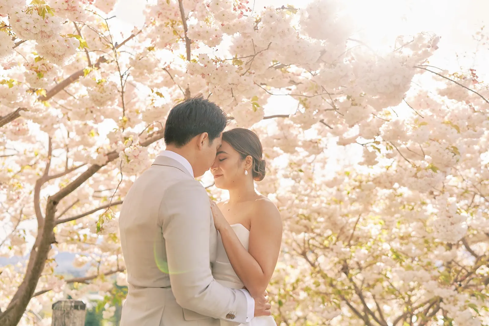 Queenstown Elopement Heli Wedding Photographer クイーンズタウン結婚式 | A Queenstown wedding couple embracing under a cherry blossom tree at StoneRidge.