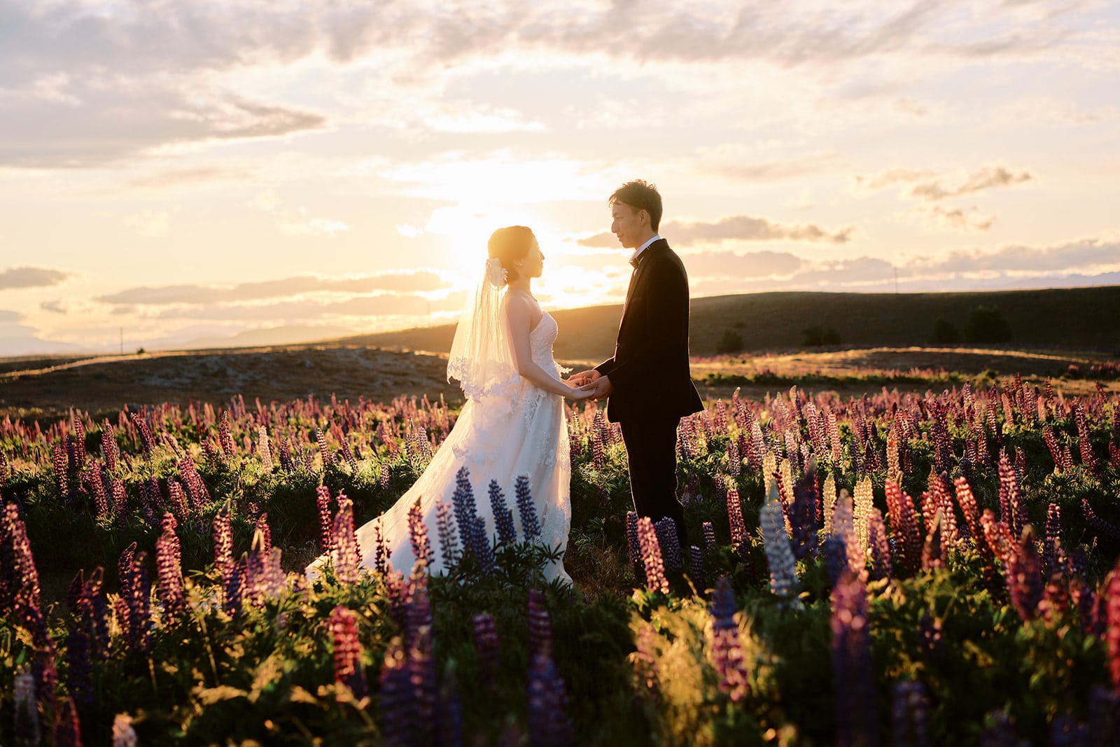 Queenstown Elopement Heli Wedding Photographer クイーンズタウン結婚式 | Queenstown bride and groom standing in a field of lupines at sunset.