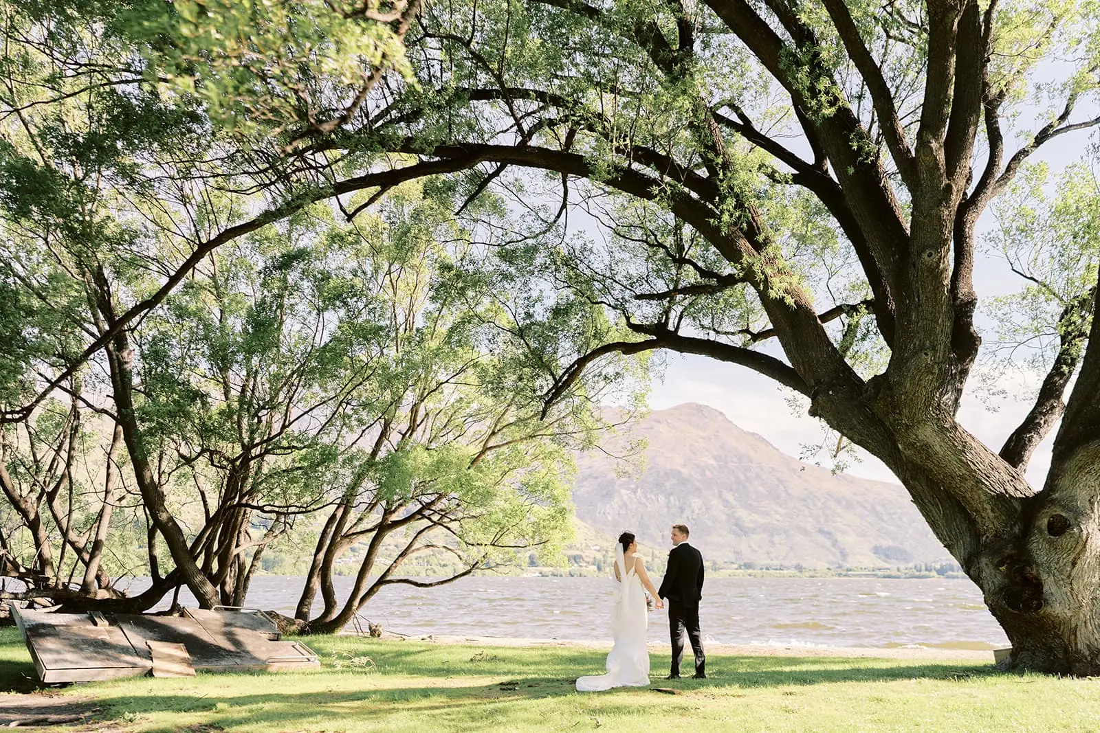 Queenstown Elopement Heli Wedding Photographer クイーンズタウン結婚式 | SHane and Mj, the bride and groom, standing under a beautiful tree in front of Stoneridge Queenstown lake.